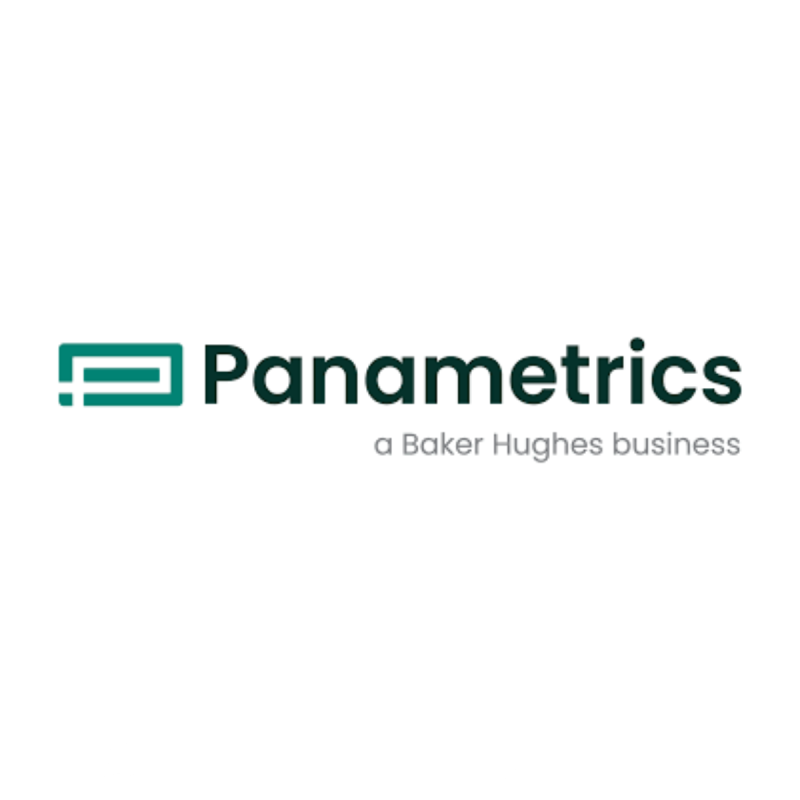 Panametrics Baker Hughes