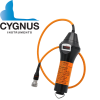 Cygnus Underwater