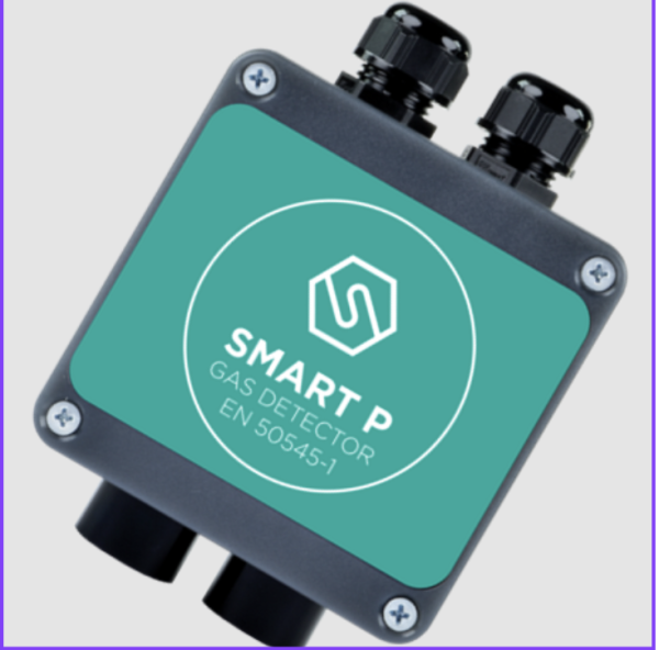 SMART P