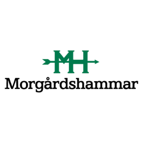Danieli Morgardshammar Vietnam 